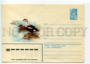 477471 USSR 1981 year Isakov bird eider-comb postal COVER