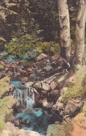 Miniature Water Falls Pfeiffers Redwood State Park Carmel San Simeon Highway ...