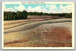 Desert of  Maine  Freeport   Postcard  1932