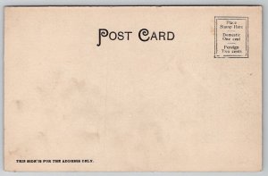 Vanderbilt Hall Yale New Haven CT Connecticut c1905 Postcard O22