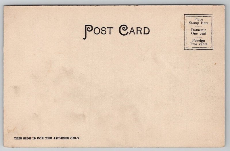 Vanderbilt Hall Yale New Haven CT Connecticut c1905 Postcard O22