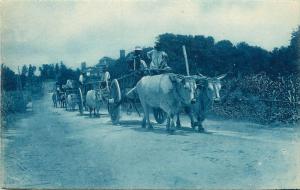 c1910 Cyanotype RPPC; Caravan of Ox Carts, Prob. Mexico or Central America