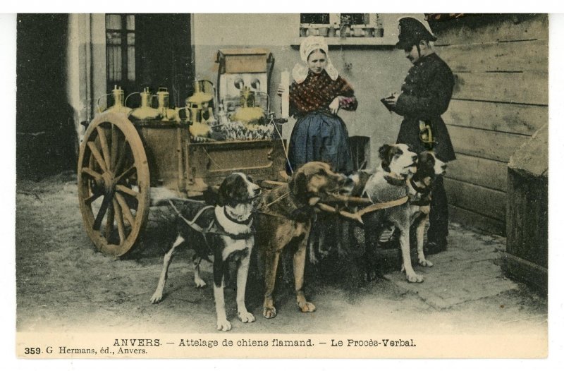 Belgium - Anvers. Flemish Dog Team. The Verbal Transaction