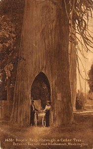 Bicycle Path Through Cedar Tree Washington, USA 1912 