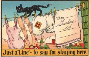 Black Cat Walking on Clothes Line, Just a Line I'm Staying Here, Comic, Postcard