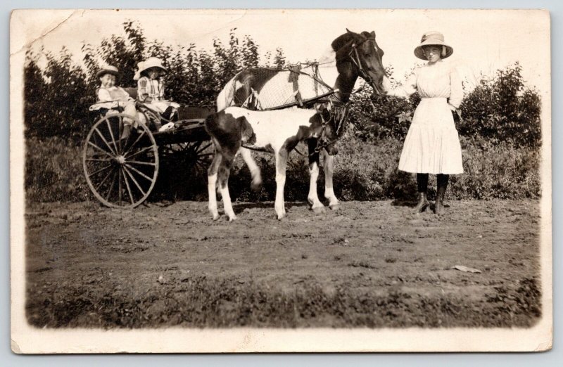 Real Photo Postcard~Big Sis Guides Siblings in Horse Cart~Foal Along~c1915