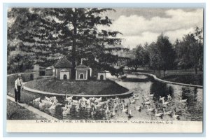 c1910's Lake At The Soldiers Military Home Ducks Washington D.C. Postcard