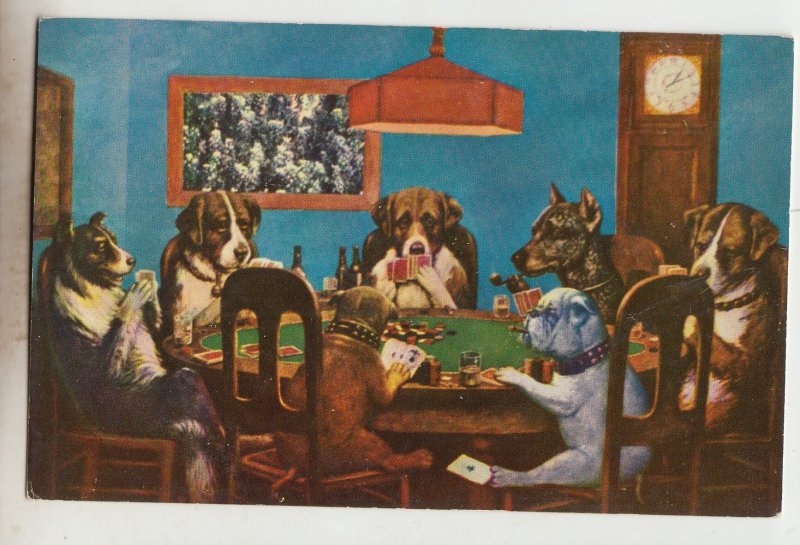 P2976, vintage comic postcard 7 dogs around table playing cards