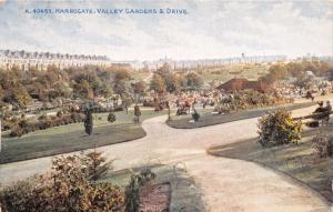 HARROGATE YORKSHIRE UK VALLEY GARDENS & DRIVE POSTCARD 1912