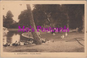 Egypt Postcard - Alexandrie, Nouzha Garden  HM368