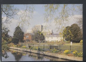 Hampshire Postcard - Winchester Cathedral   RR7215