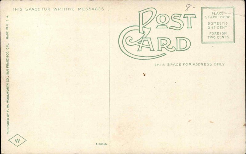 San Francisco CA California Disaster Earthquake Fire c1900-20s Vintage Postcard