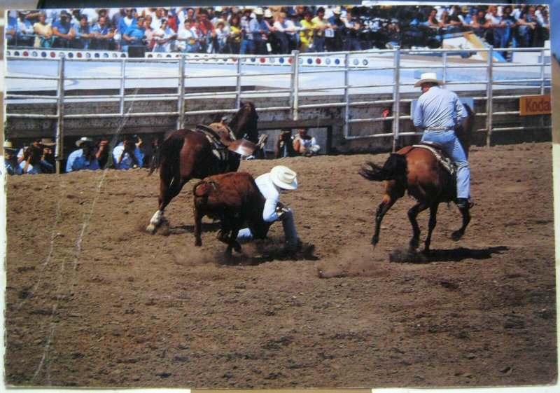 Canada Calgary Exhibtiion and Stampede - posted 1997