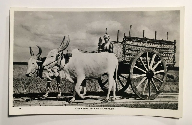 VTG Real Photo RPPC India Open Bullock Cart Ceylon Pictorials Indian Wheel A2