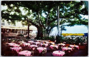 VINTAGE POSTCARD MOANA HOTEL'S WORLD FAMOUS BANYAN COURT LANAI POSTED 1959