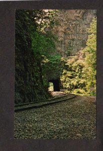 VA Southern Railroad Train Natural Tunnel Railway Clinchport Virginia Postcard
