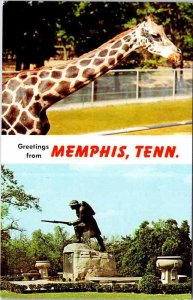Postcard ZOO SCENE Memphis Tennessee TN AM7414