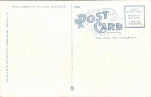 Postcard MD National Pike Chestnut Ridge Long Stretch West Frostburg Cumberland