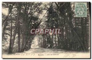 Old Postcard Ecouen allee du chateau