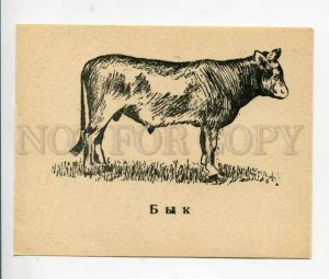 402980 USSR bull 1946 year Glavuchtehprom card