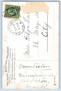 Anthropomorphic Dog Postcard Grandma Having Tea Worcester Massachusetts MA 1909