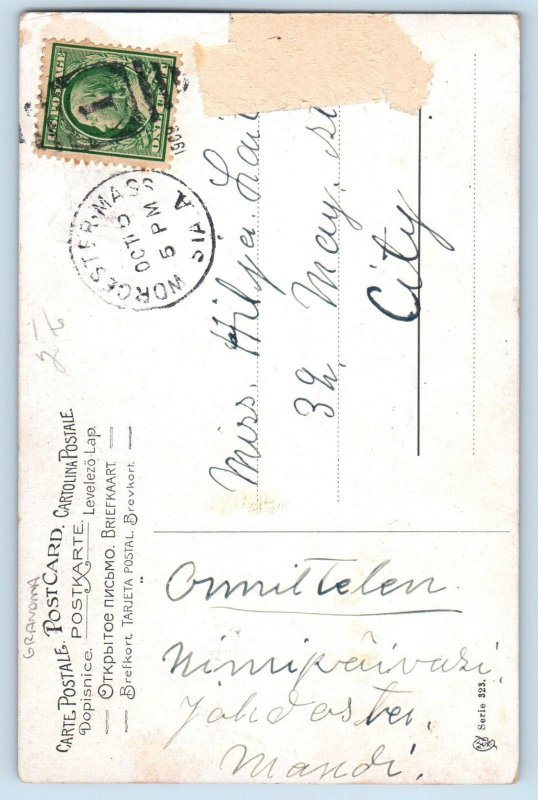 Anthropomorphic Dog Postcard Grandma Having Tea Worcester Massachusetts MA 1909