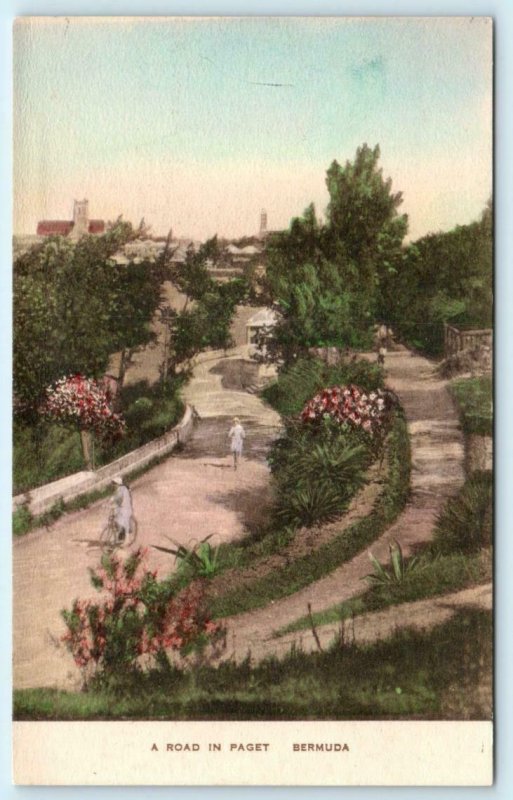 PAGET, BERMUDA  Handcolored Beautiful ROAD SCENE Albertype Postcard