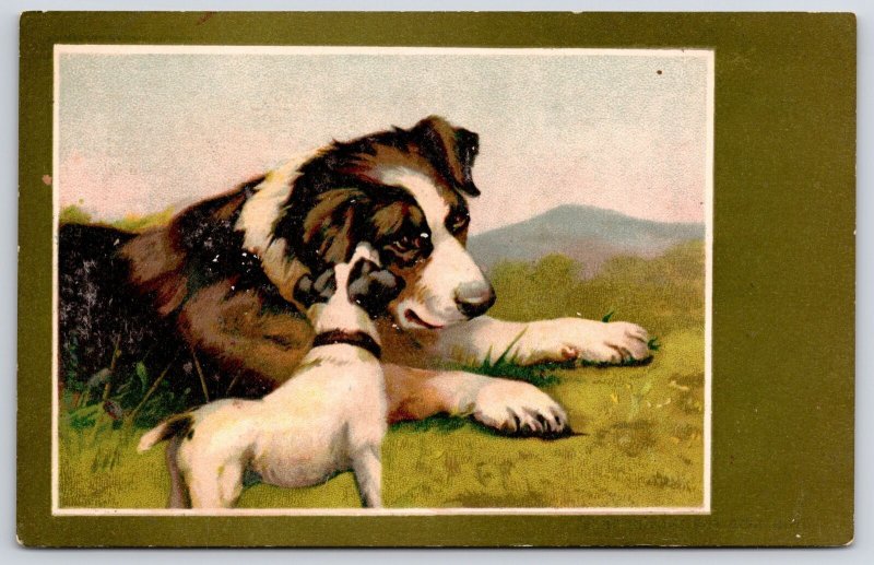 Motherdog And Pup In The Wild Brown And White Thick Furs Postcard