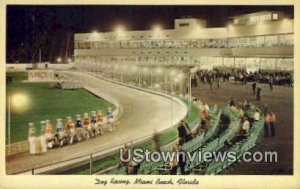 Dog Racing - Miami Beach, Florida FL  