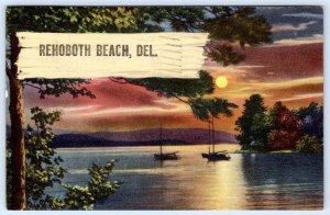 1955 REHOBOTH BEACH DELAWARE DE HAVING A SWELL TIME! VINTAGE POSTCARD