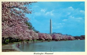 [ Curteichcolor ] US Washington, D.C. - Washington Monument