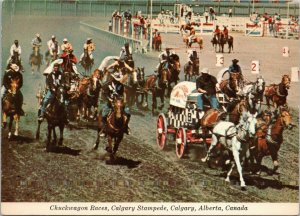 Chuckwagon Races, Calgary Stampede, Calgary, Alberta Canada postcard