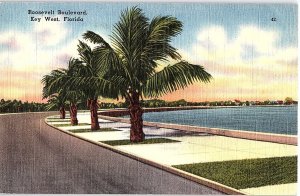 Postcard ROAD SCENE Key West Florida FL AI1368