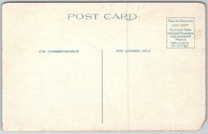 Buffalo New York c1915 Postcard William McKinley Monument