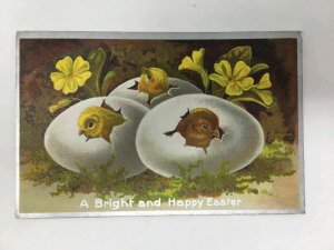 Winsch Easter Postcard Eggs Chicks Hatching Series 103 No 16 Embossed