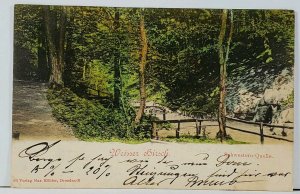 Germany Weisser Hirsch Schwstern-Quelle c1900 Postcard K19