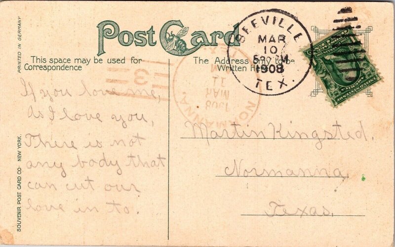 American Falls Niagara Waterfalls Green Stamp Franklin Cancel 1908 Postcard 