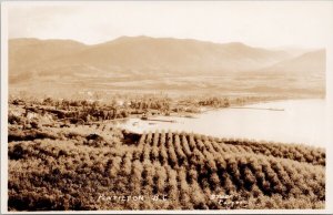 Penticton BC British Columbia Lake Unused Stocks RPPC Postcard H36