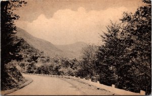 Postcard PA Along Loyal Sock Above Slab Town Whitman's Phototypes 1948 V179