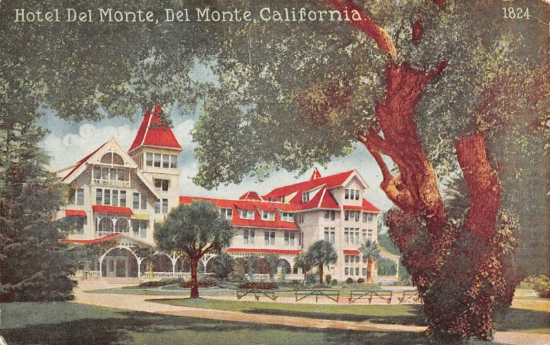 HOTEL DEL MONTE Del Monte, CA Monterey County c1910s Vintage Postcard