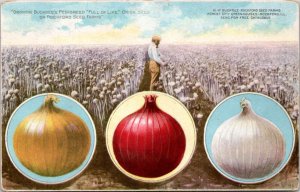 Postcard advert IL Rockford - Full of Life Onion seed