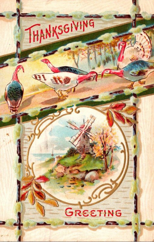 Thanksgiving Greetings With Turkey 1909