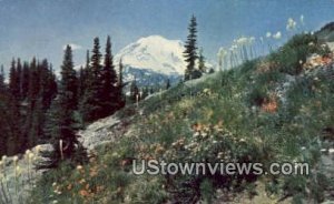 Dewey Lake Trail - Mt Rainier, Washington