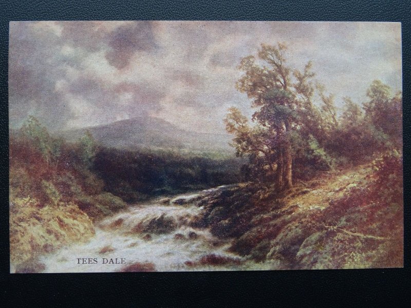 Durham TEES DALE c1905 Postcard by Hildesheimer 5290 