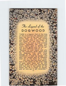 Postcard - The Legend of the Dogwood