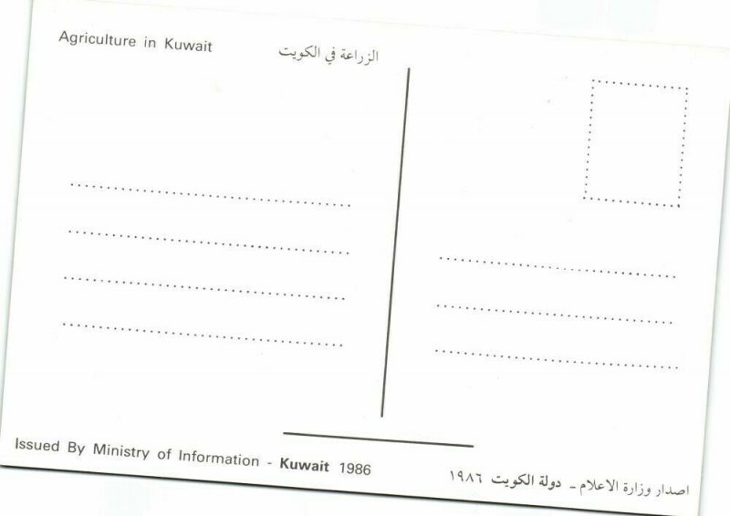 Kuwait Kuwait City مدينة الكويت Agriculture Farming Vegetables Fruit 1986 2