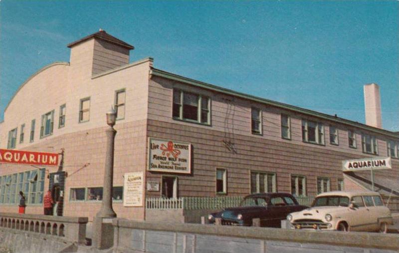 LP81  Seaside  Aquarium, Oregon,   old cars, postcard