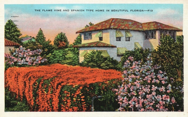 Vintage Postcard 1936 The Flame Vine And Spanish Type Home In Beautiful Florida