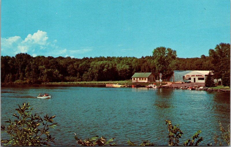 Paul Bunyan Vacationland Scene Gull Lake Chain Dock Boat Water Old Cars Postcard