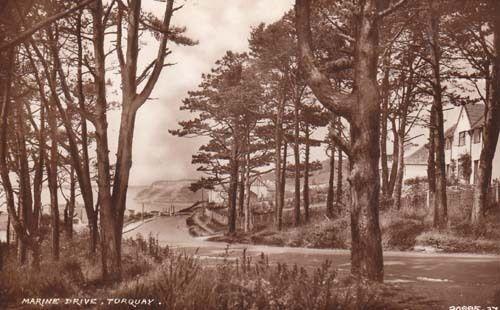 Torquay Marine Drive Vintage Unused Real Photo Postcard